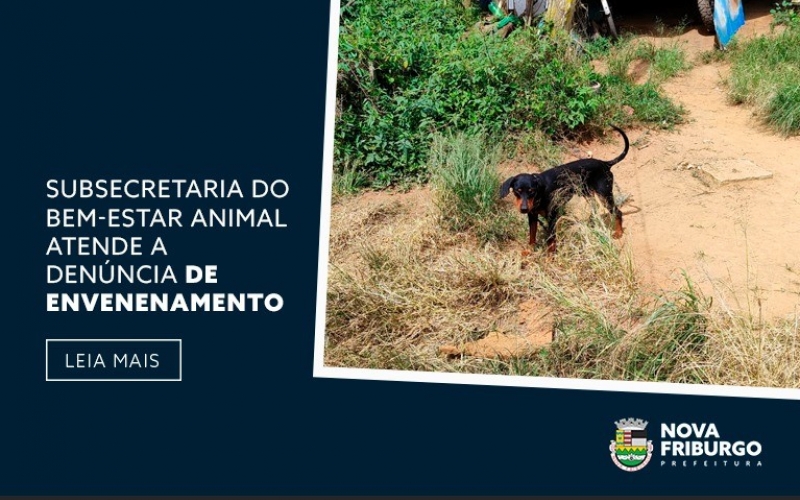 SUBSECRETARIA DO BEM-ESTAR ANIMAL ATENDE A DENÚNCIA DE ENVENENAMENTO