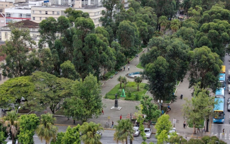 Trânsito será interrompido para poda de eucaliptos neste domingo na Praça Getúlio Vargas