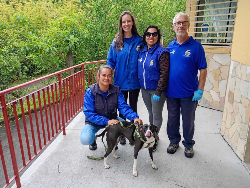 quase-4-mil-animais-foram-vacinados-na-campanha-antirrabica-no-ultimo-sabado-em-sete-bairros-de-nova-friburgo