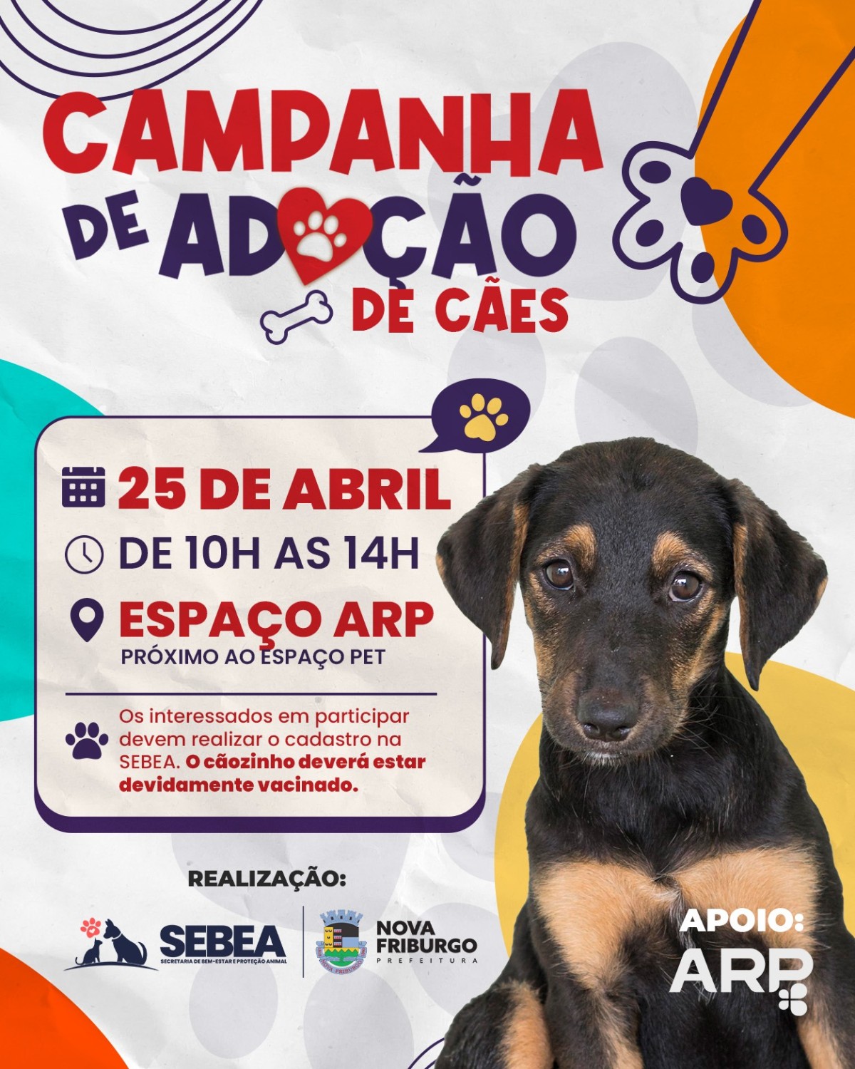 campanha-de-adocao-de-caes-tem-inscricoes-abertas-para-cadastros