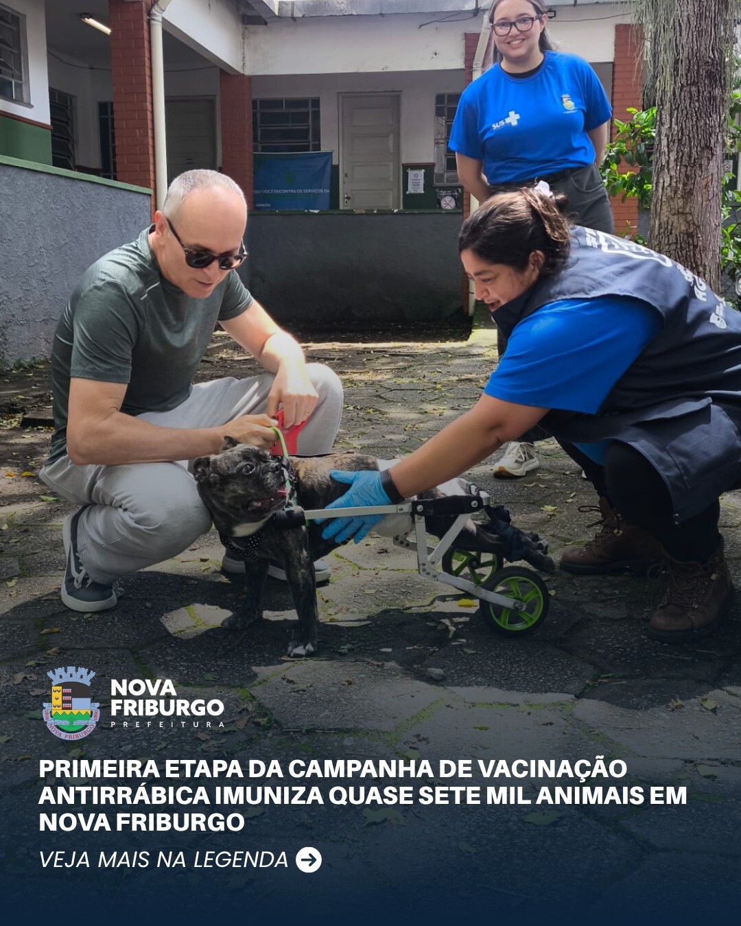primeira-etapa-da-campanha-de-vacinacao-antirrabica-imuniza-quase-sete-mil-animais-em-nova-friburgo
