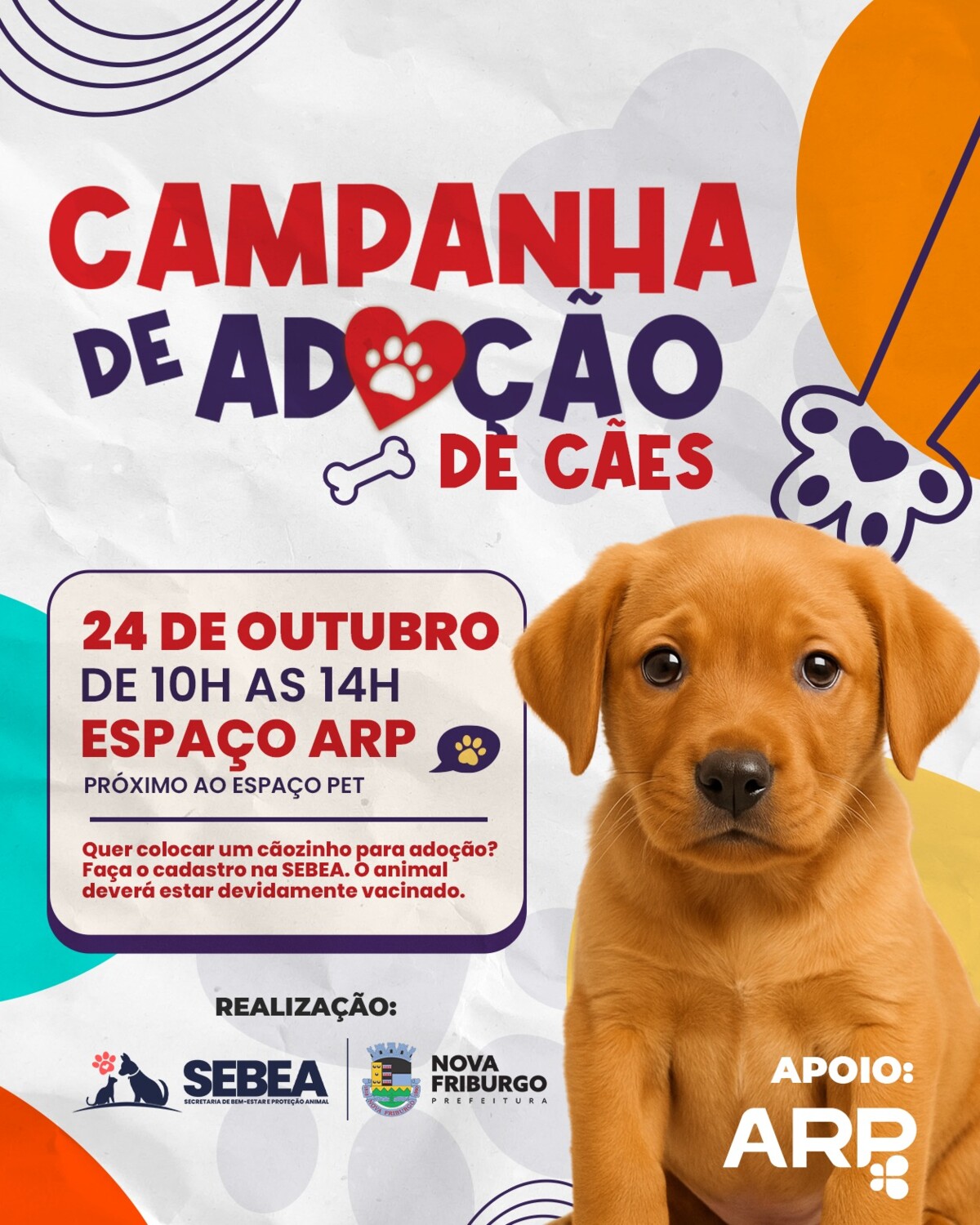 prefeitura-promove-campanha-de-adocao-de-caes-neste-sabado-24