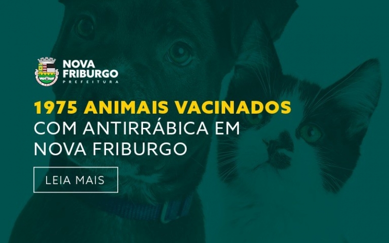 MAIS DE 1.900 ANIMAIS SÃO VACINADOS COM ANTIRRÁBICA DURANTE CAMPANHA ITINERANTE EM NOVA FRIBURGO